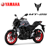 Yamaha MT25